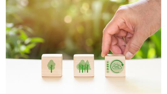 Nachhaltige Kunststoffalternativen für eine umweltbewusste Gastronomie